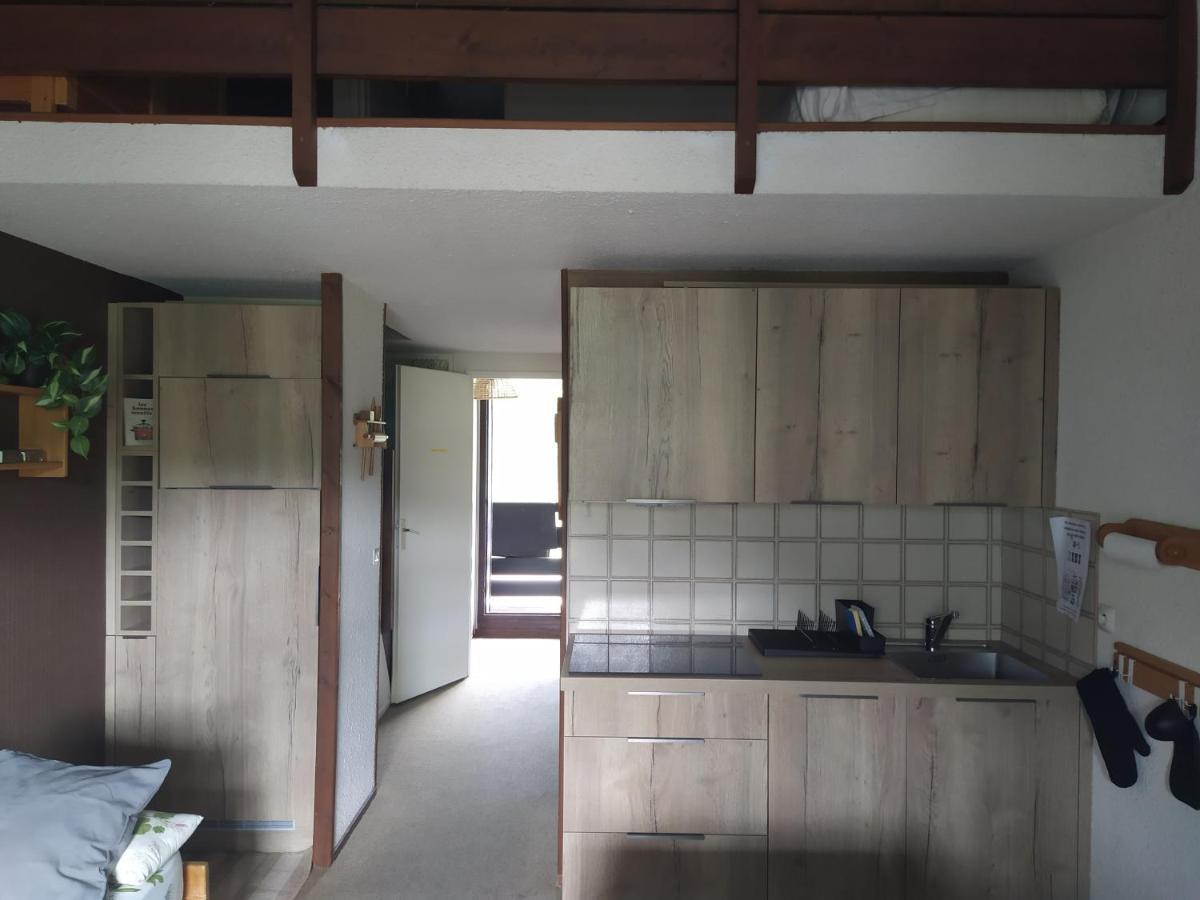 Duplex 3 Pieces. Pieds Des Pistes Et Balcon! Apartment Gresse-en-Vercors Exterior photo